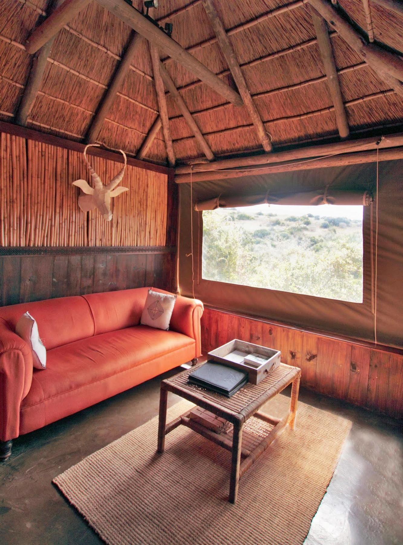 Amakhala Safari Lodge Paterson Buitenkant foto